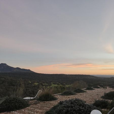 Dehesa El Aguila Διαμέρισμα Puebla de la Reina Εξωτερικό φωτογραφία